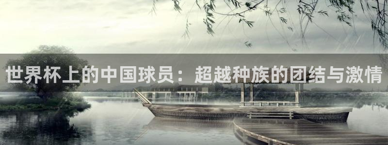 世界杯亚洲区预选赛赛程:世界杯上的中国球员:超越种族的团结与激情