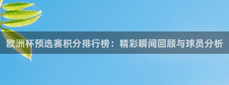 世界杯决赛圈球队:欧洲杯预选赛积分排行榜:精彩瞬间回顾与球员分析