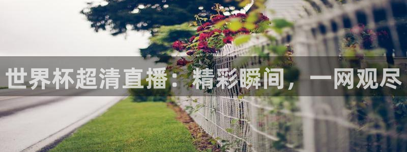 世界杯比赛赛程:世界杯超清直播:精彩瞬间,一网观尽